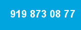 919 873 08 77